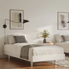 two beds in a room with white walls and wood floors, one has a plant on the bed