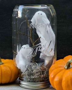 there is a glass jar with two white birds in it and some pumpkins on the table