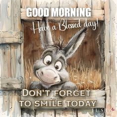 a donkey with the words good morning have a blessed day don't forget to smile today