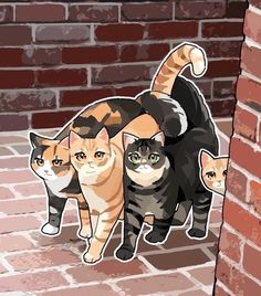 three cats are standing in front of a brick wall and one is looking at the camera