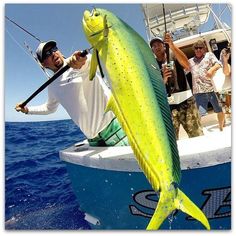 a man holding a large yellow fish while on a boat with other people in the background