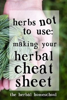 Herbal Recipes, Herbal Magic, Herbs For Health