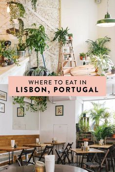 the inside of a restaurant with tables, chairs and potted plants on the wall