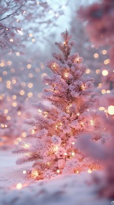 a white christmas tree with lights in the snow