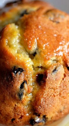 a close up of a muffin on a plate