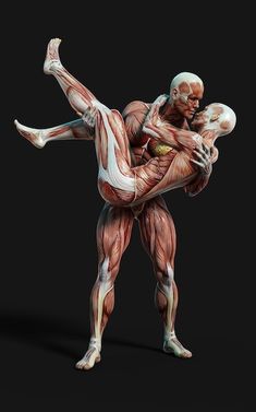 an image of a man doing a kickbox pose with muscles highlighted in the back