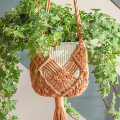 a potted plant hanging from a rope