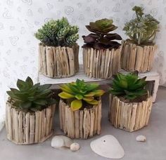 four wooden planters with succulents in them