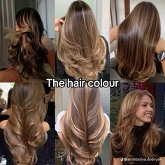 How To Do Low Lights In Hair At Home, Sofia Vergara Hair Color, Honey Brunette, Brown Sugar Hair, Rambut Brunette, Brown Hair Looks, Hair Inspiration Long, Brown Hair Inspo, Hair Color Streaks