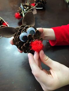 a person holding a pine cone with googly eyes and a red pom - pom