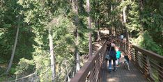 three people walking on a bridge in the woods with their dog, and another person standing next to them