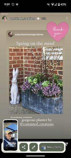 an image of a rabbit sitting next to some flowers and plants in a potted planter