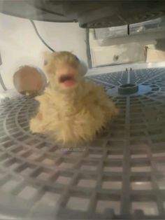 a small yellow animal sitting on top of a metal grate covered in plastic material