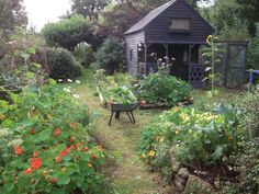 the garden is full of flowers and plants