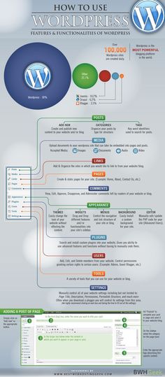 the world's most popular wordpress sites infographicly displayed on a computer screen