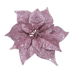 a pink poinsettia flower with glitter on it's petals, against a white background