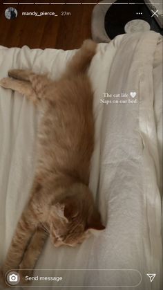 an orange cat laying on top of a bed next to a wooden floor and white sheets