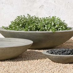 three cement bowls with plants in them sitting on the ground next to rocks and gravel