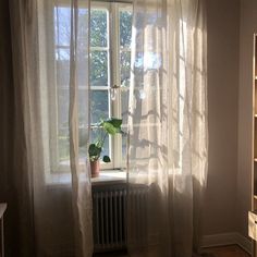 a window with sheer curtains and a potted plant