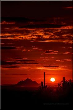 the sun is setting behind some mountains and cactus trees in the foreground, with an orange sky