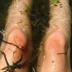 the legs and feet of a person covered in mud with grass growing on top of them