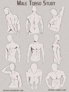 the male torso is shown in different positions and sizes, with text describing how to use it