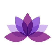 a purple flower on a white background