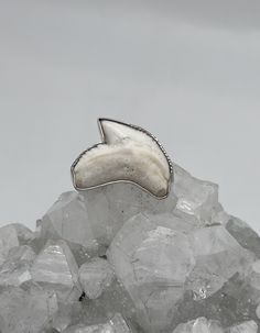 Shark Tooth Ring, Size 10 925 Sterling Silver WWW.KARINSFORGOTTENTREASURES.COM Unique White Rings With Polished Finish, Untreated White Jewelry For Anniversary, Collectible White Hallmarked Rings, Collectible White Gemstone Rings, Shark Tooth Ring, Tooth Ring, Shark Tooth, Ring Size 10, Shark Teeth