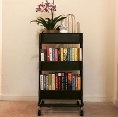 there is a book shelf with many books on it and a plant in the corner