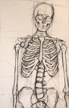 a drawing of a skeleton sitting down