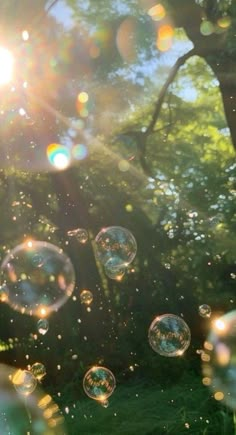 soap bubbles floating in the air next to a tree with sun shining through it and green grass