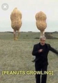 a man standing in the middle of a field with two large balls on his head