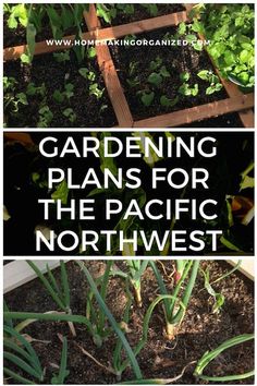 gardening plans for the pacific northwest