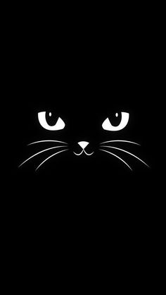 a black cat's face with glowing eyes in the dark, looking straight ahead