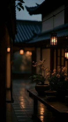 an outdoor area with lights and potted plants