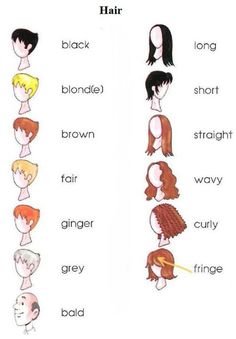 the different types of hair for girls with short and long hair, all in different colors