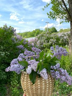 a person holding a basket with purple flowers in it