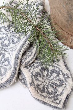 a pair of mitts sitting next to a potted plant