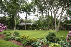 a lush green yard with lots of trees and flowers in the foreground, surrounded by purple hydrangeas