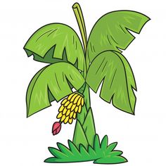 a banana tree with green leaves and flowers