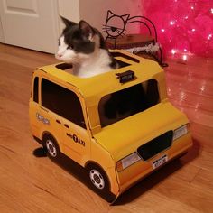 a cat sitting on top of a yellow toy truck