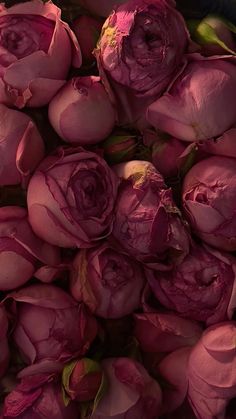 a bunch of pink flowers that are on display