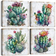 four cactus paintings on canvases with watercolor paint and brush strokes, each depicting different types of cacti