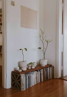 three potted plants are sitting on a shelf in front of a bookcase filled with books