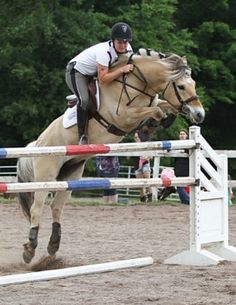 a person on a horse jumping over an obstacle