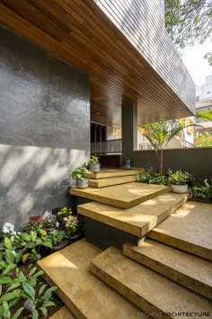 the stairs are made of concrete and have plants growing on them in front of it