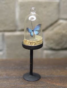 a glass bell jar with a blue butterfly under it on a black metal stand against a brick wall