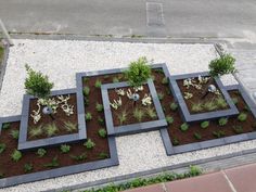 an aerial view of a garden with various plants in the center and dirt on the ground