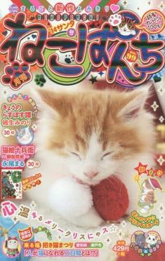 an orange and white cat sleeping on top of a magazine cover with japanese characters in the background