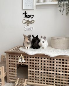 three small dogs sitting on top of a dog house